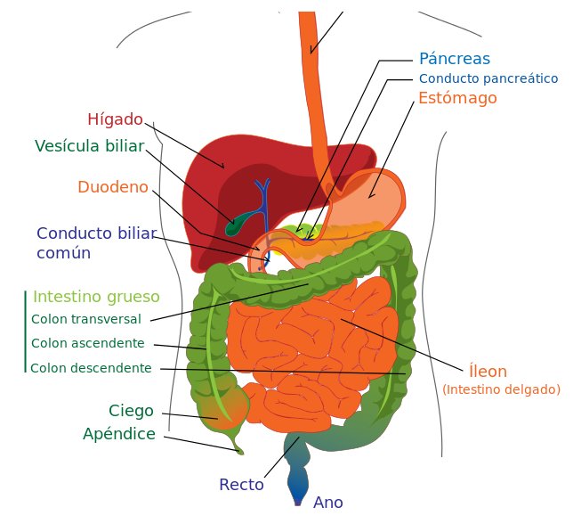 colitis